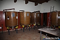 VBS_9303 - Presentazione Rally Il Grappolo 2024